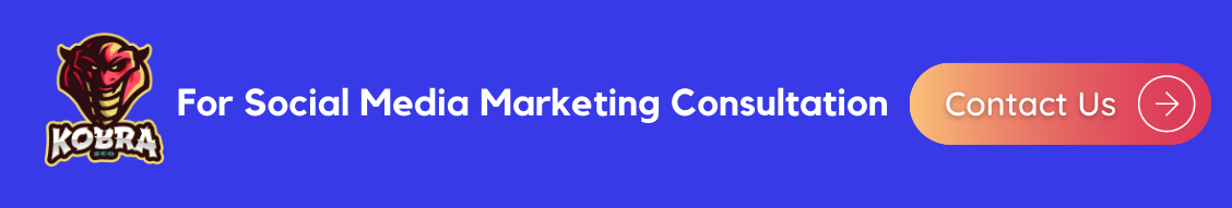 Social Media Marketing Consultation